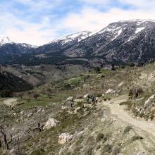 Katharo plateau loop MTB Tour Crete Image 07b28-lasithi_selakano_mtb_tours_crete_5.jpg 