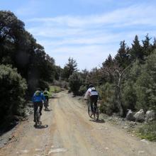 Katharo plateau loop MTB Tour Crete Image 3848a-lasithi_selakano_mtb_tours_crete_42.jpg 