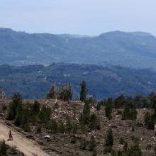 Katharo plateau loop MTB Tour Crete Image 459a3-lasithi_selakano_mtb_tours_crete_3.jpg 