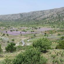 Katharo plateau loop MTB Tour Crete Image 4c748-katharo_plateau_valley.jpg 