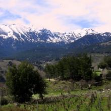 Katharo plateau loop MTB Tour Crete Image 4e1d8-lasithi_selakano_mtb_tours_crete_10.jpg 